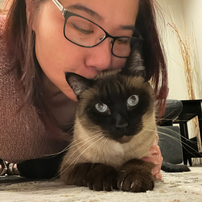 Your Paw-Fect Companion