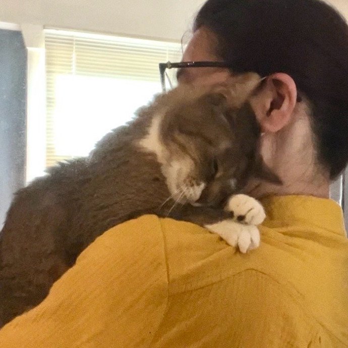 Your Paw-Fect Companion