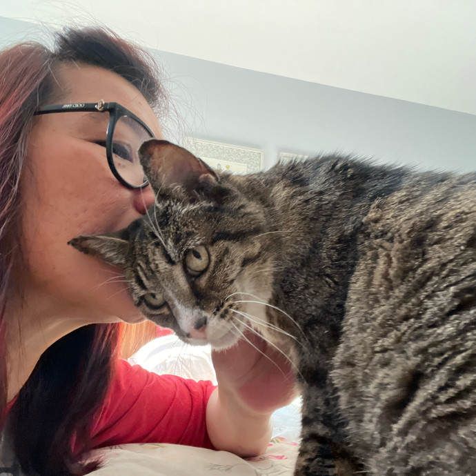 Your Paw-Fect Companion