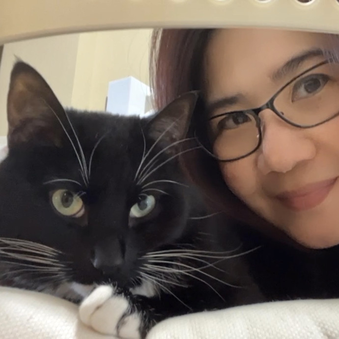 Your Paw-Fect Companion