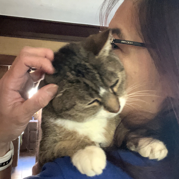 Your Paw-Fect Companion