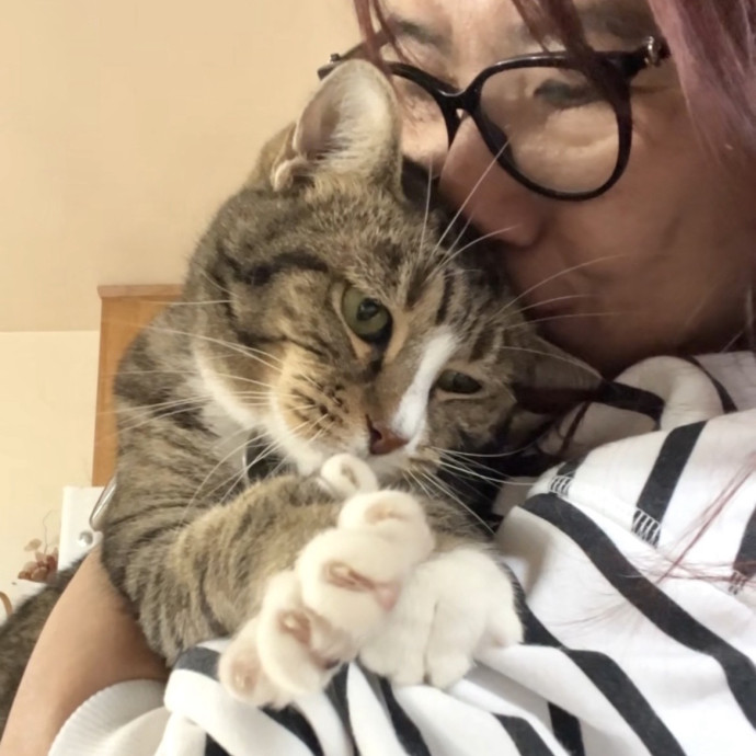 Your Paw-Fect Companion