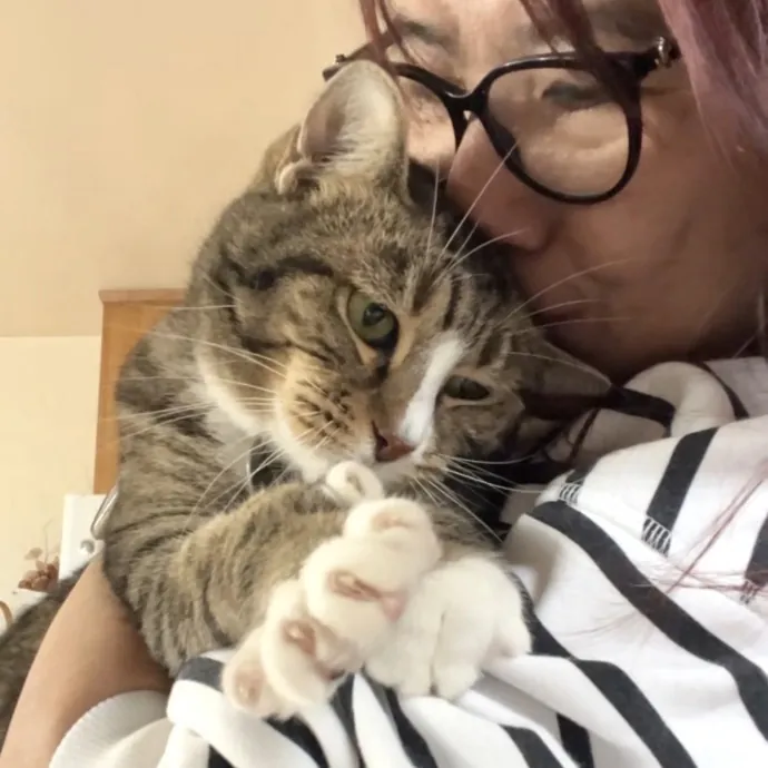 Your Paw-Fect Companion