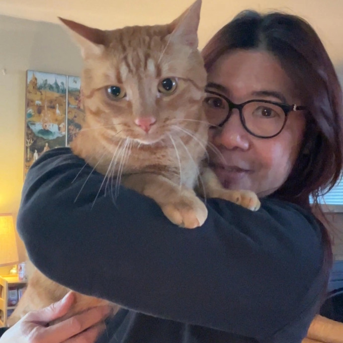 Your Paw-Fect Companion