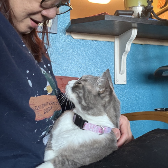 Your Paw-Fect Companion