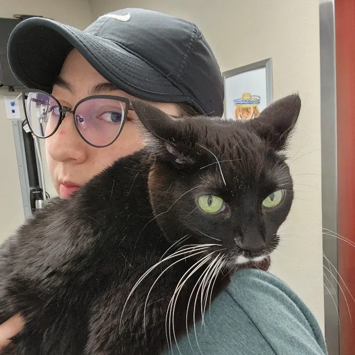 Sam's Pawsome Kitty Care