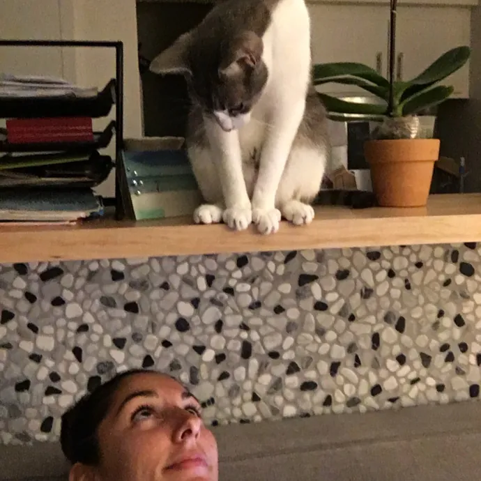 Yas The Cat Companion Who Understands