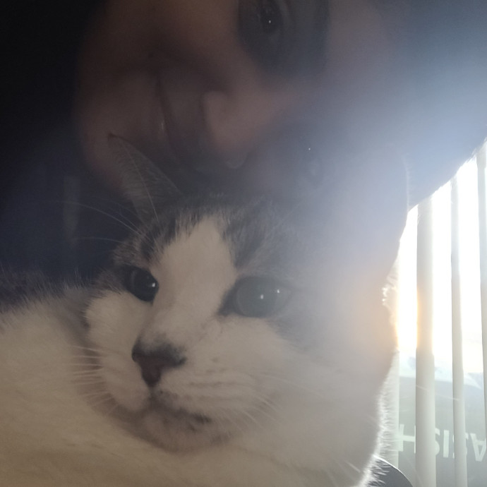 Your Furbaby Is In Good Hands photo 3