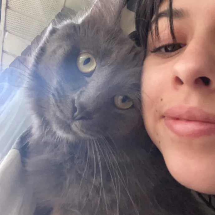 Reliable Washington County Cat Sitter