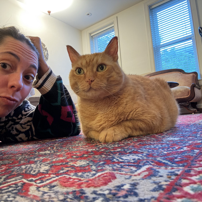 Just A Cat Loving Vet Tech