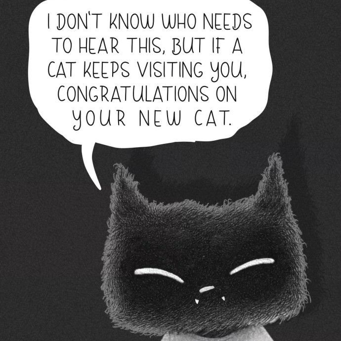 Compassionate Crazy Catsitter