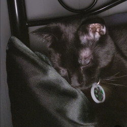 Photo #1 Photo #1