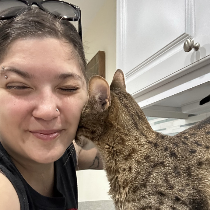 For Shy Spicy And Social Cats Alike