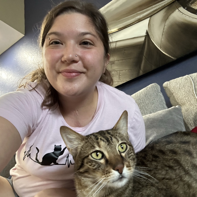 For Shy Spicy And Social Cats Alike