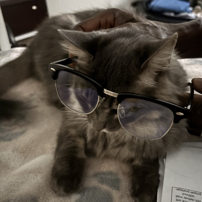 Experienced Cat Owner Bu Senior photo 3