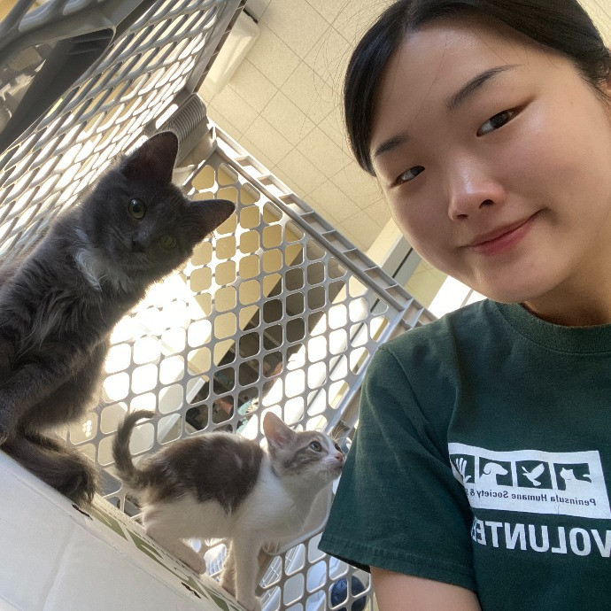 Jessie - Your Purrfect Catsitter