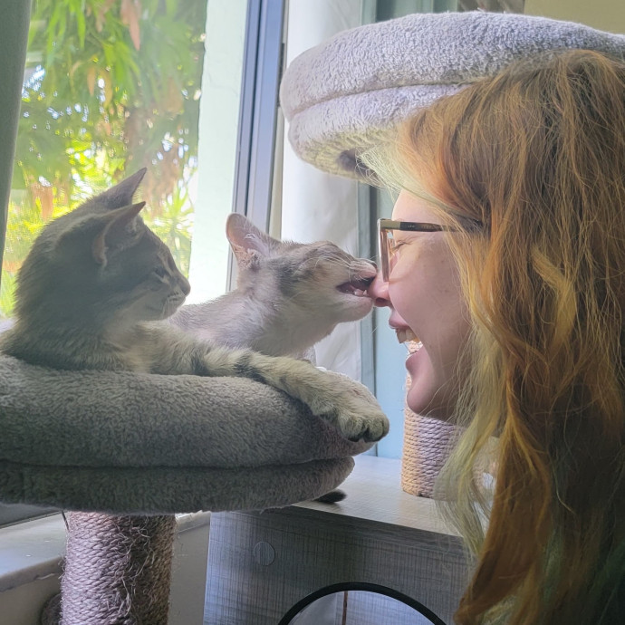 Paws And Whiskers Care With Love
