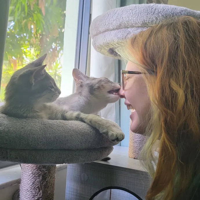 Paws And Whiskers Care With Love