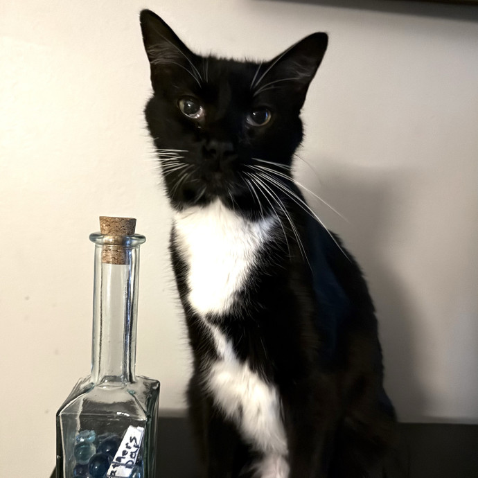 Paws And Whiskers Care With Love