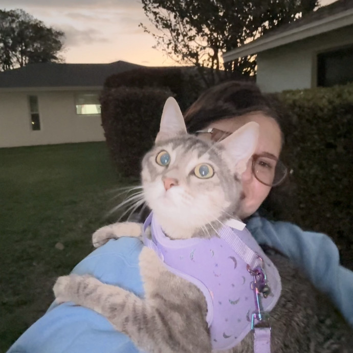 Paws And Whiskers Care With Love
