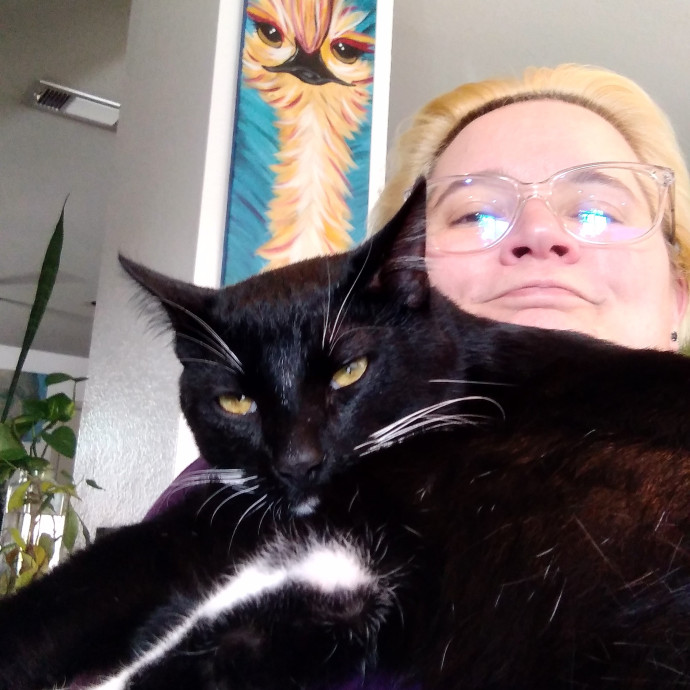 Clowder Cat Nanny