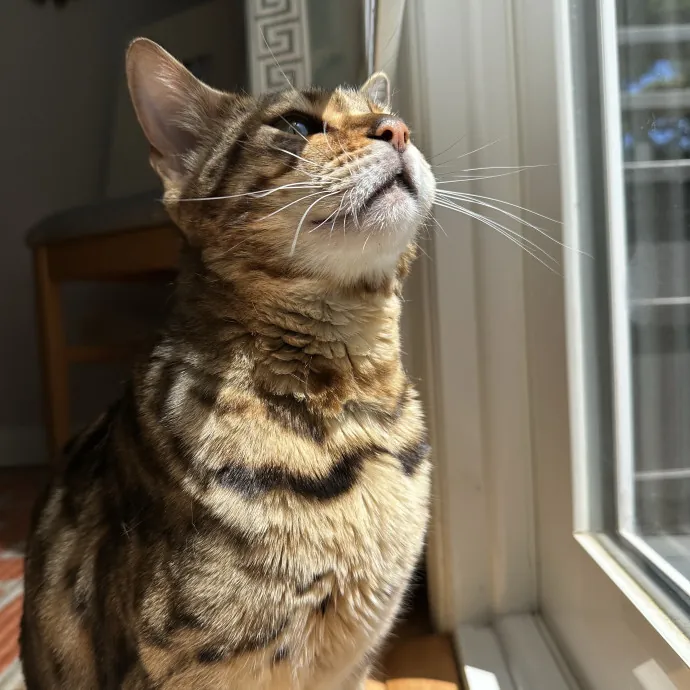 Maya S.