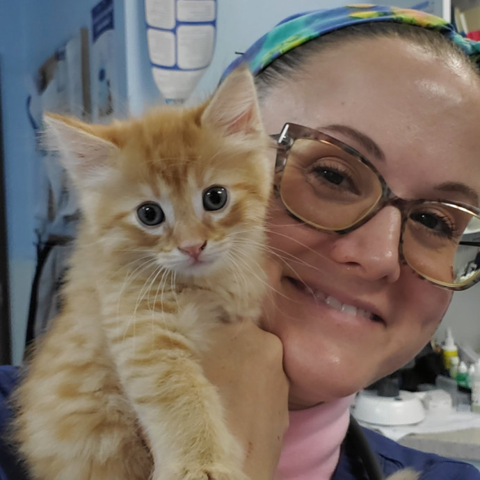 Cat-Adoring  Fear-Free Certified