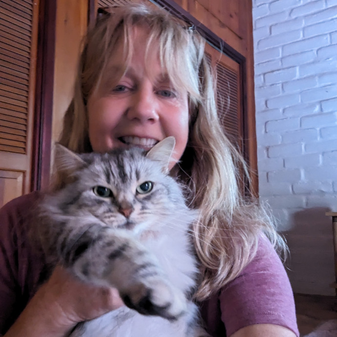 Jodi's Cat Care In Poway