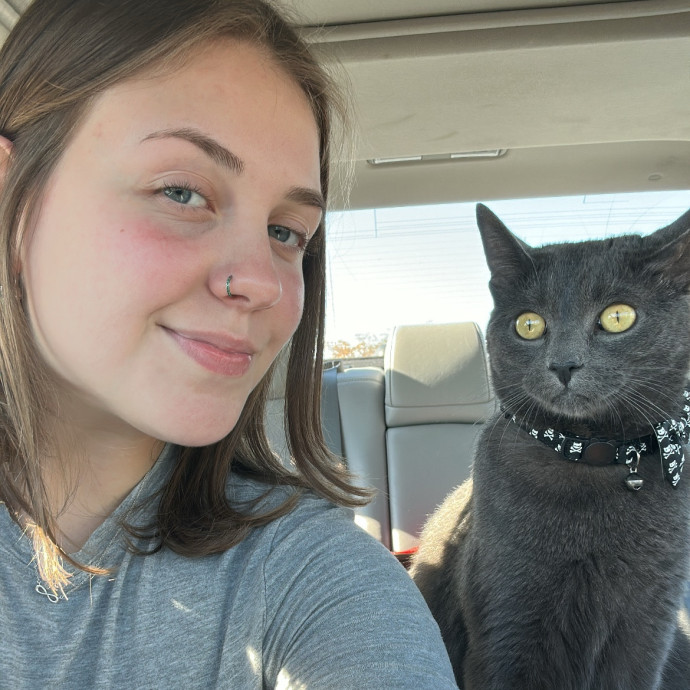 Loving And Reliable Cat Caretaker