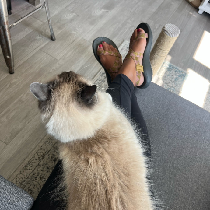 Alx Kitty Mom With Flexibility