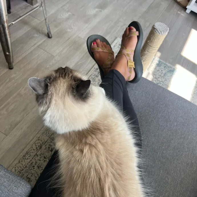 Alx Kitty Mom With Flexibility