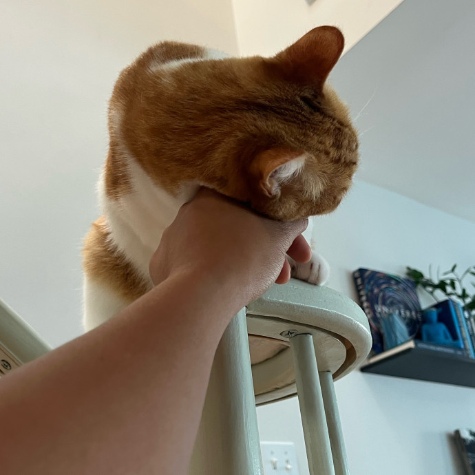 Alx Kitty Mom With Flexibility