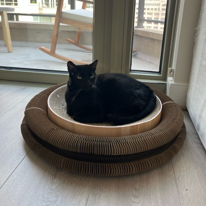 Alx Kitty Mom With Flexibility