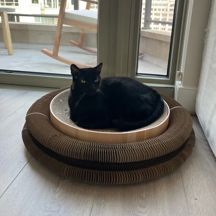 Alx Kitty Mom With Flexibility