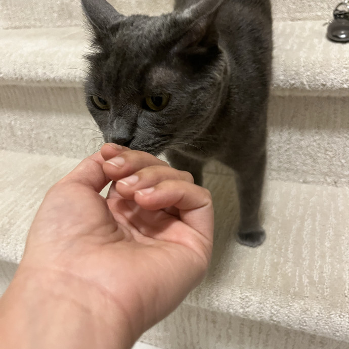 Alx Kitty Mom With Flexibility photo 3