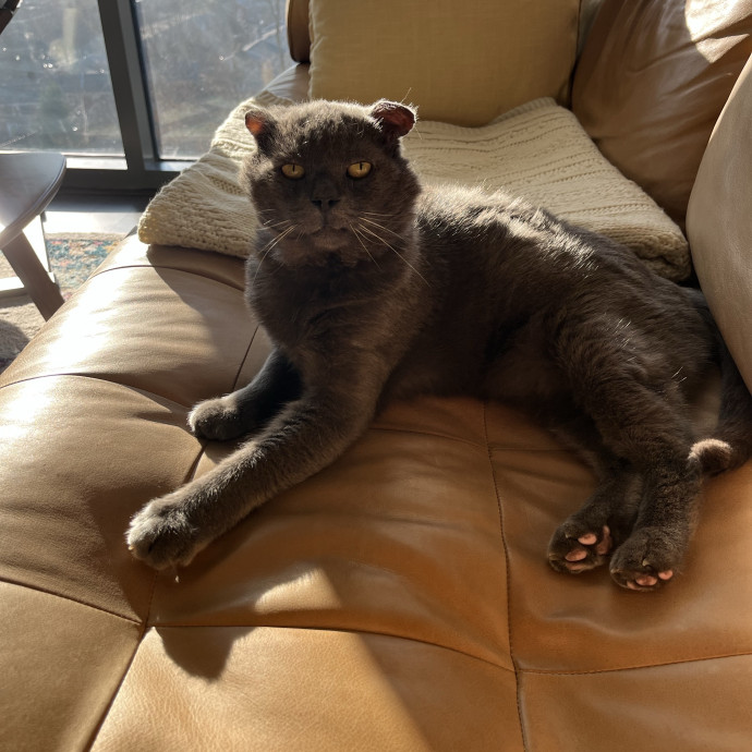 Alx Kitty Mom With Flexibility photo 2