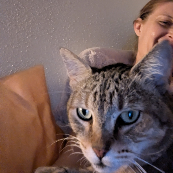 Two Rivers Kitty Care