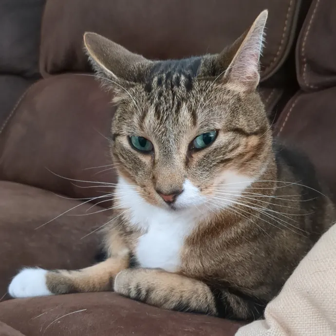 Sophie L.