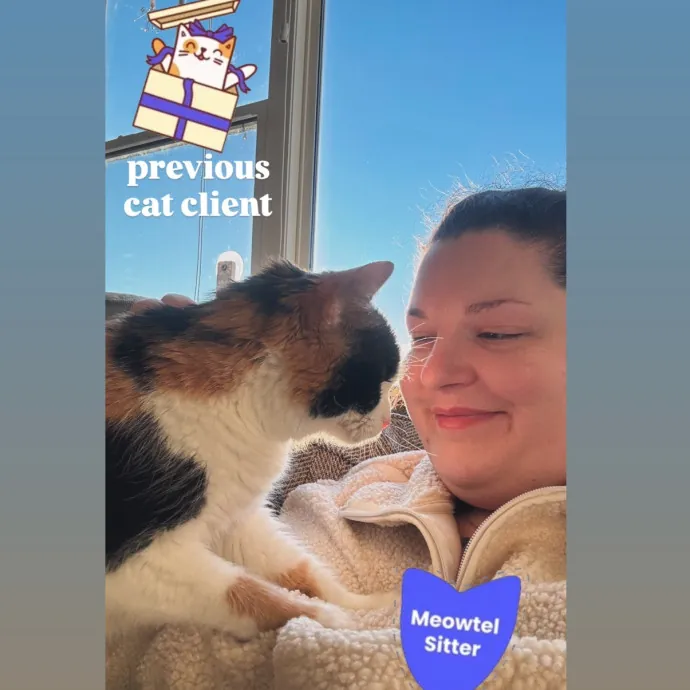 Holly Your Hospitable Cat Helper