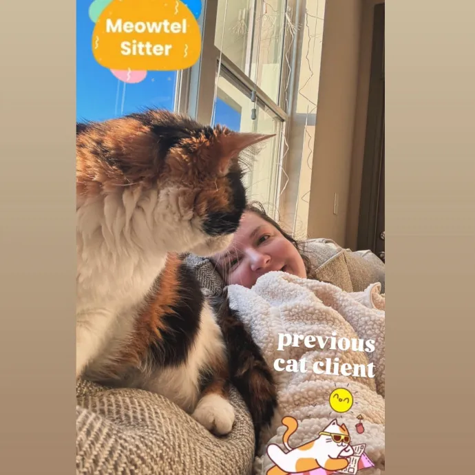 Holly Your Hospitable Cat Helper