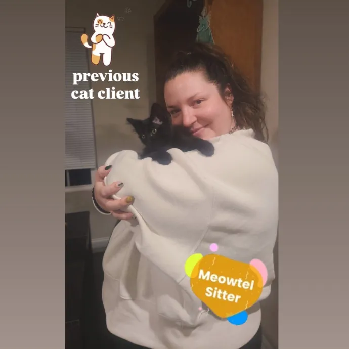 Holly Your Hospitable Cat Helper