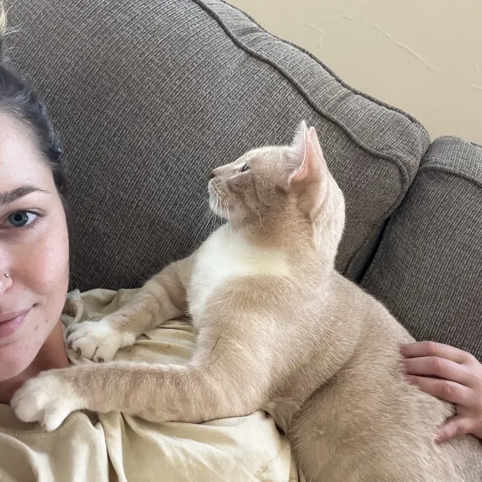 Kind Caring Cat Enthusiast