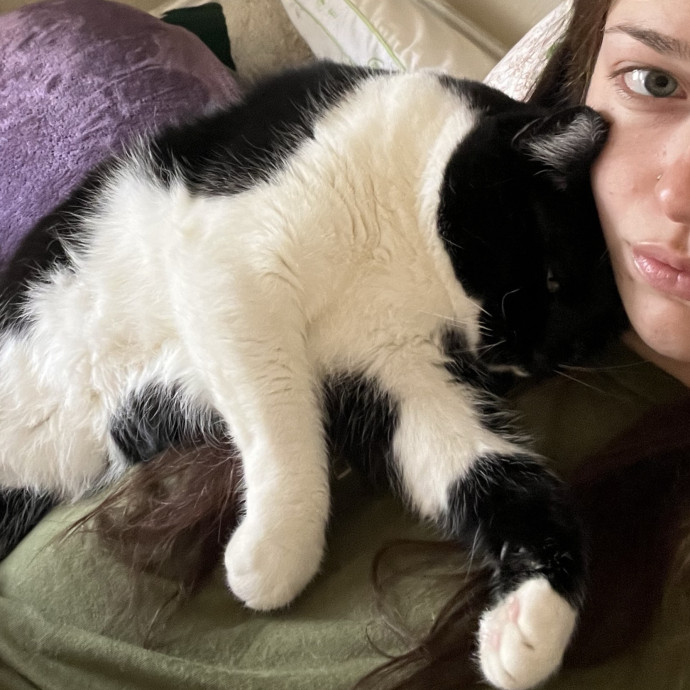 Kind Caring Cat Enthusiast