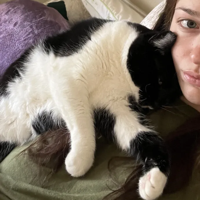 Kind Caring Cat Enthusiast