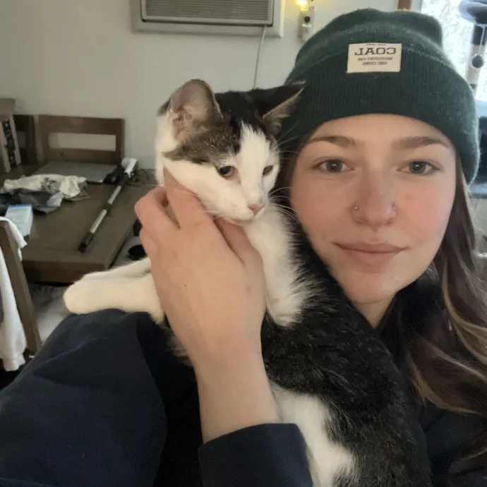 Kind Caring Cat Enthusiast