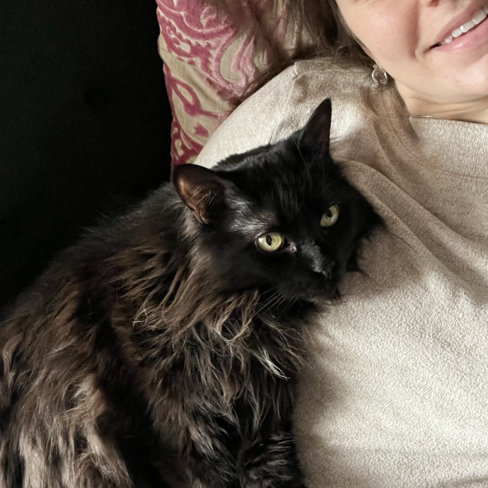 Kind Caring Cat Enthusiast
