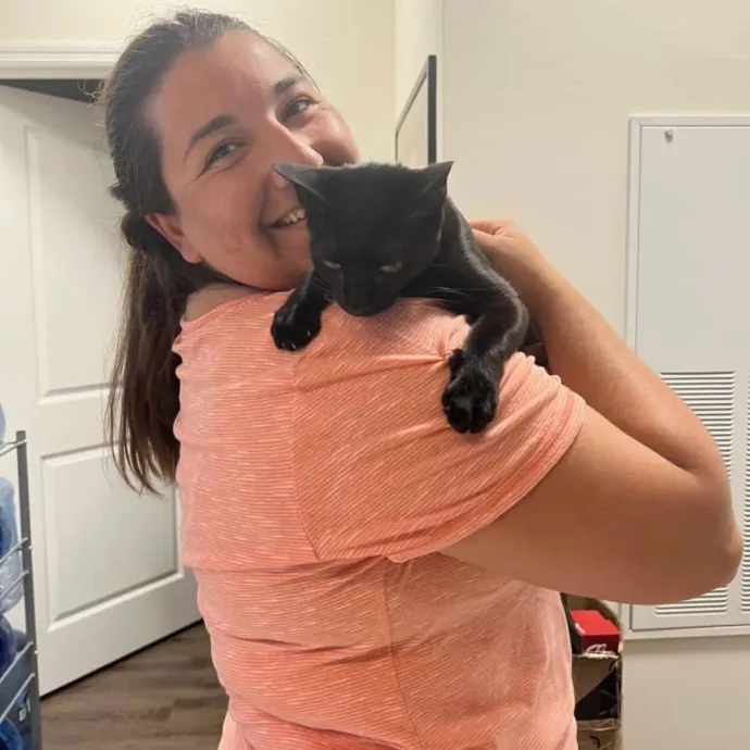 Ready To Cuddle And Love Your Kitties