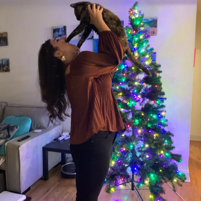Ready To Cuddle And Love Your Kitties