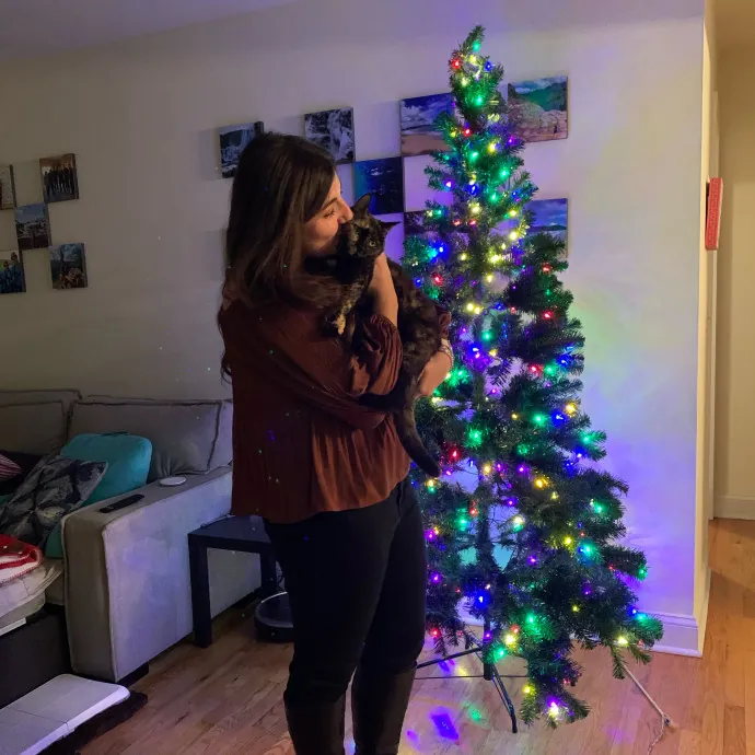 Ready To Cuddle And Love Your Kitties