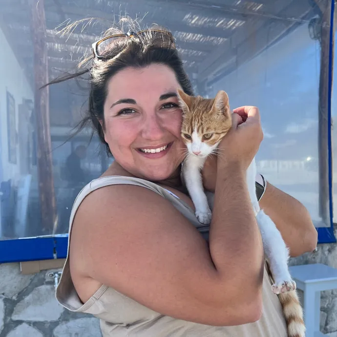 Ready To Cuddle And Love Your Kitties